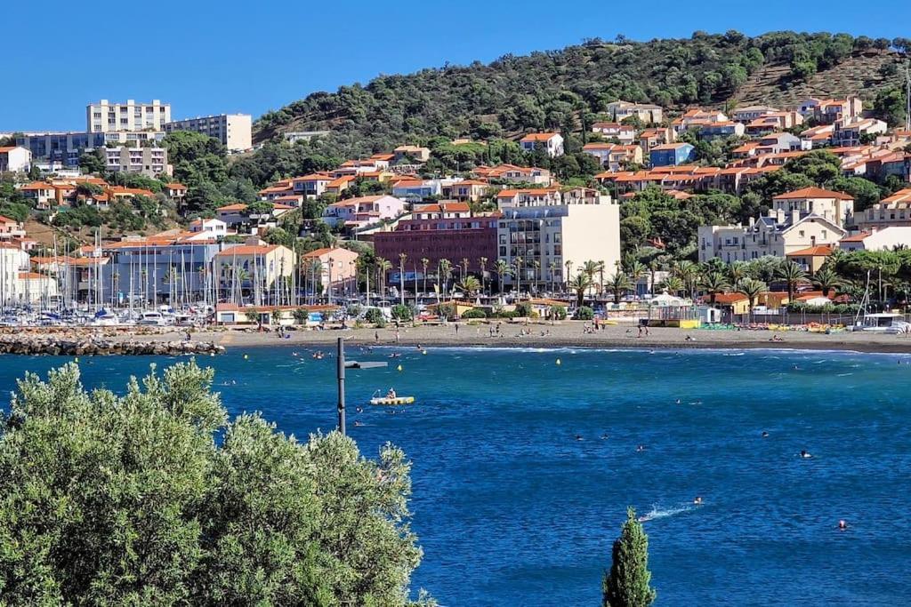 Unique Rare 1ere Ligne Neuf Clim * Banyuls-sur-Mer